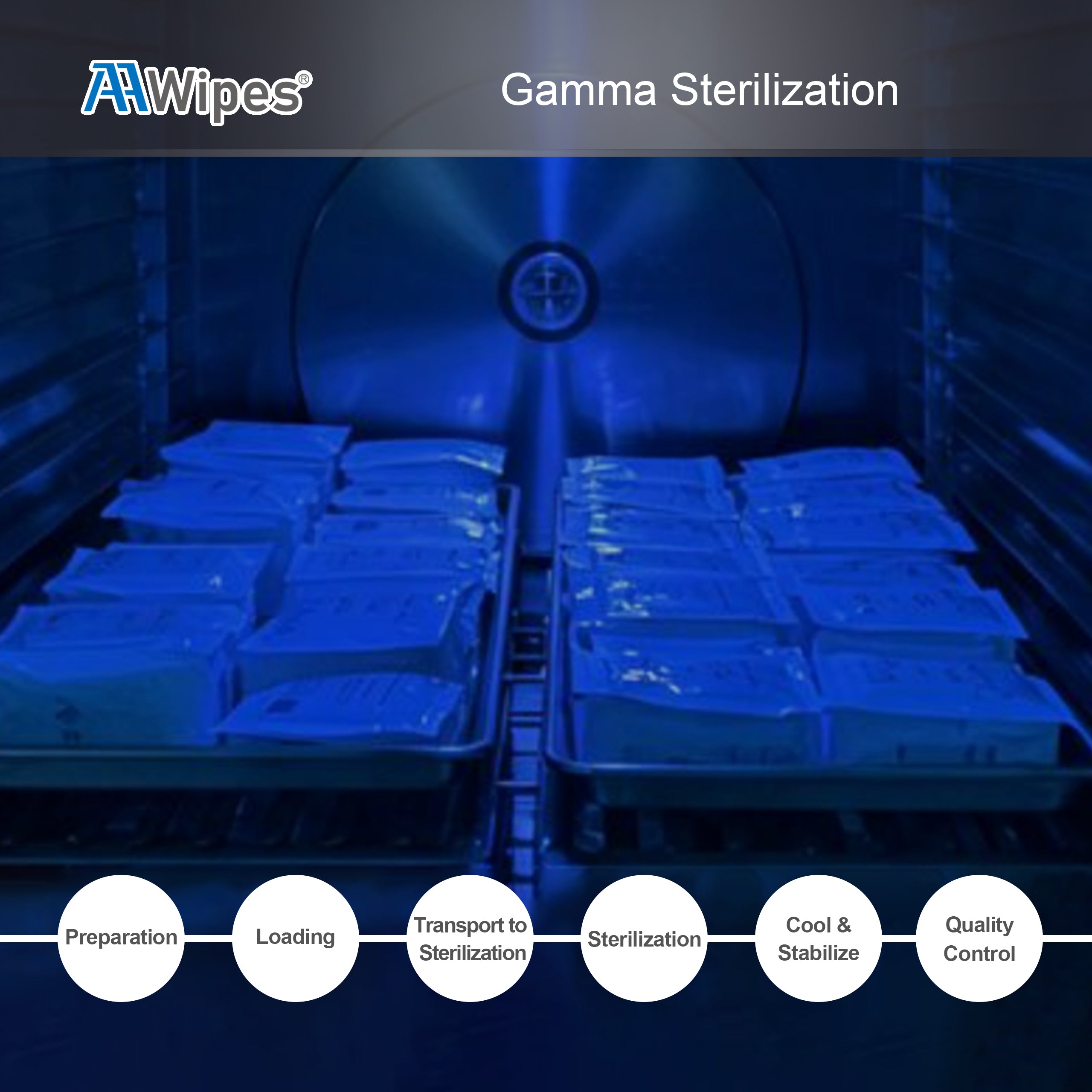Cleanroom facility with gamma ray sterilization process for medical and pharmaceutical cleanroom wipes