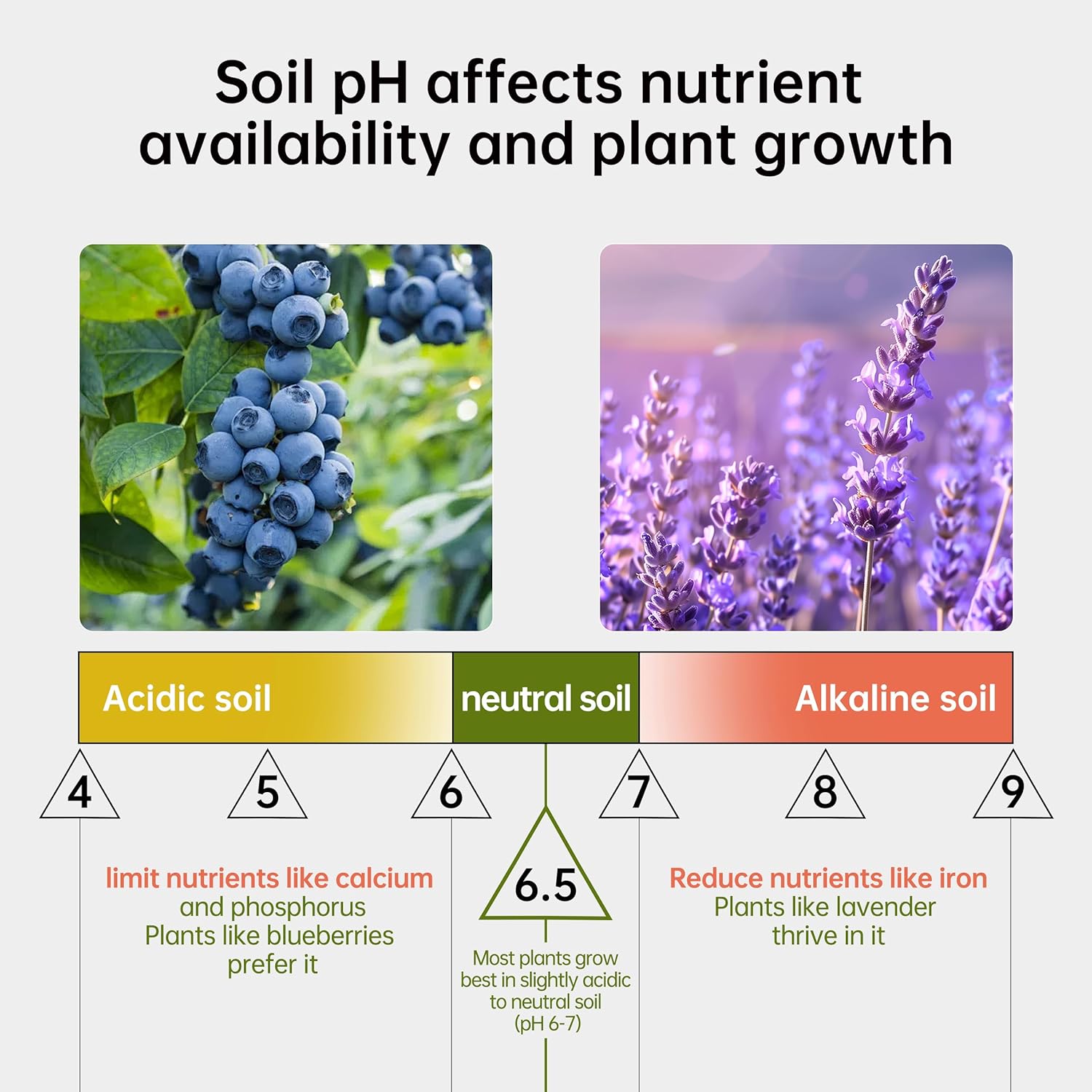 lavender plant soil ph Soil pH Test Kit (3.5-9 Range) 100 Strips ph Soil Tester for Acidity a