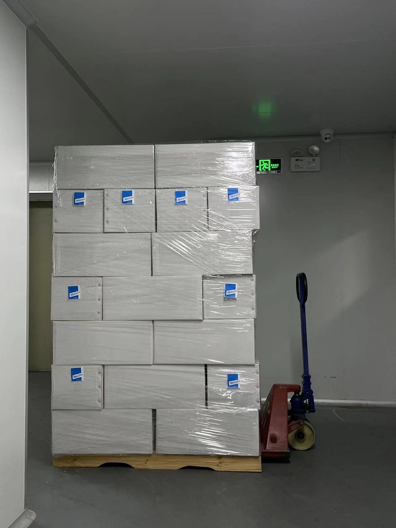 Bulk cellulose-polyester cleanroom wipes 9x9, 4,200 wipes per 14-bag case, ideal for pharma, medical device, and industrial contamination control